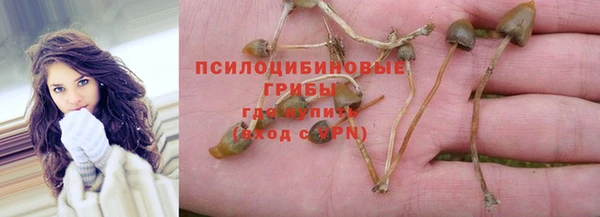 дмт Белокуриха